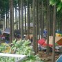 HERBESTA '08 2008-11-01,02